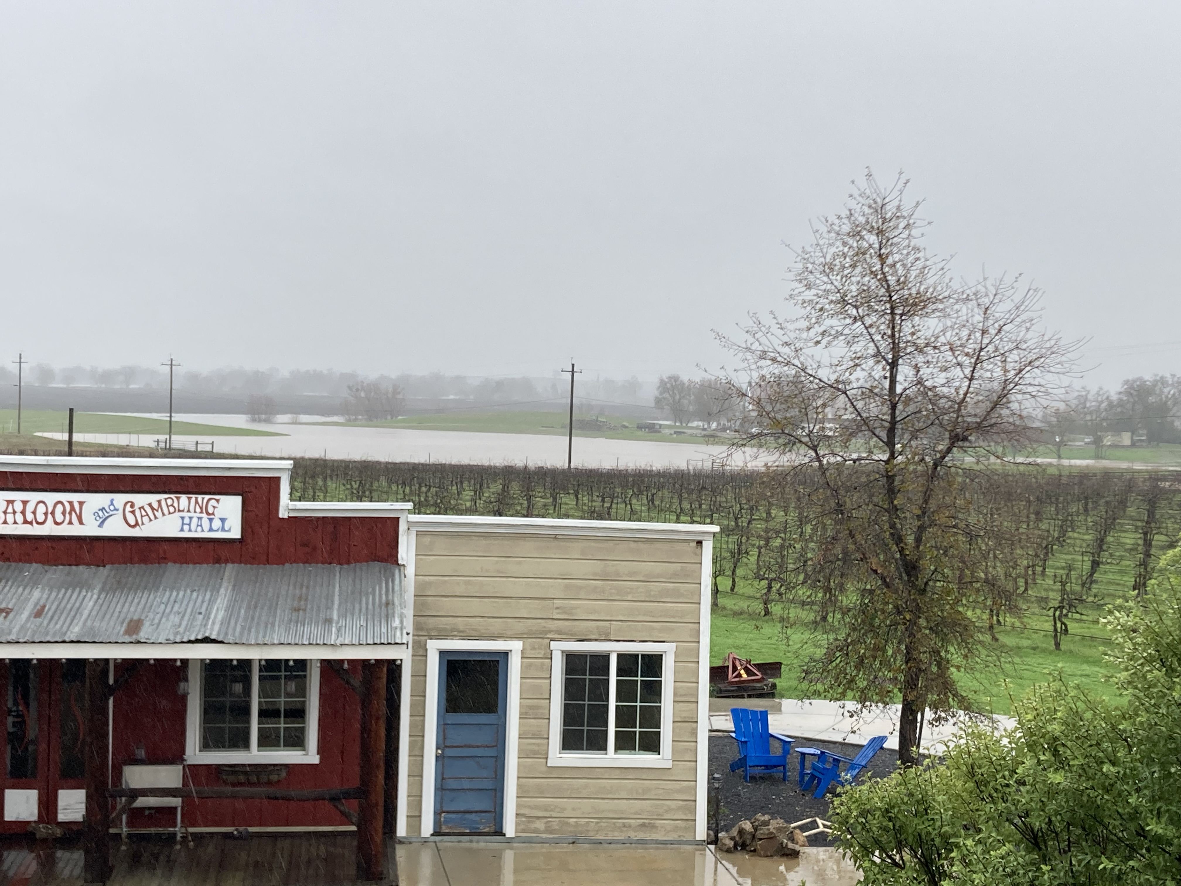 Flooded land beyond the Red Dog Saloon